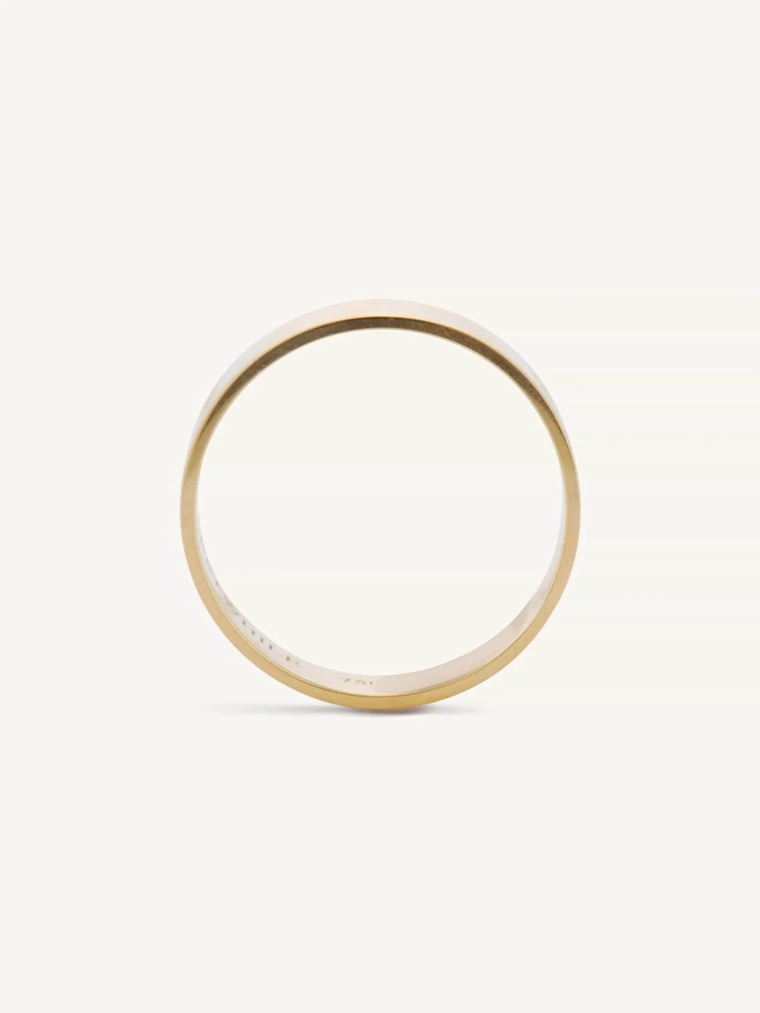 Flat Hoop 6mm - Image 3